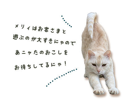 メリィのウェルカムメッセージ